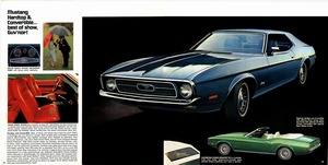 1971 Mustang (b)-12-13.jpg